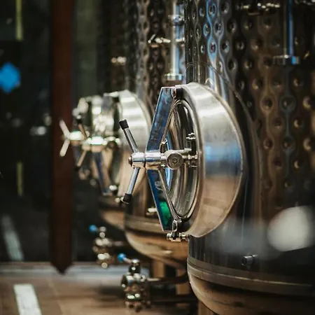 Browar Gosciniec 住宿加早餐酒店 3*