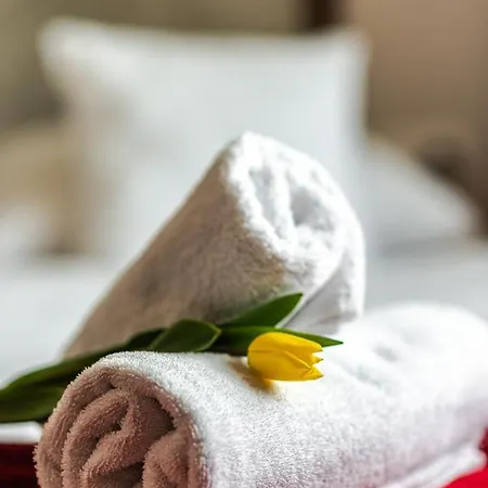 Browar Gosciniec 住宿加早餐酒店 霍伊尼采