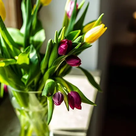 Browar Gosciniec 3* 霍伊尼采