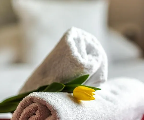 Browar Gosciniec B&B 호이니체